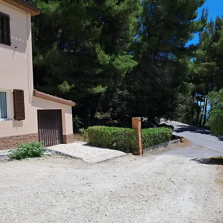 Trilocale Immerso Nel Del M Conero, Nuovo, Con Spazio Esterno * Massignano